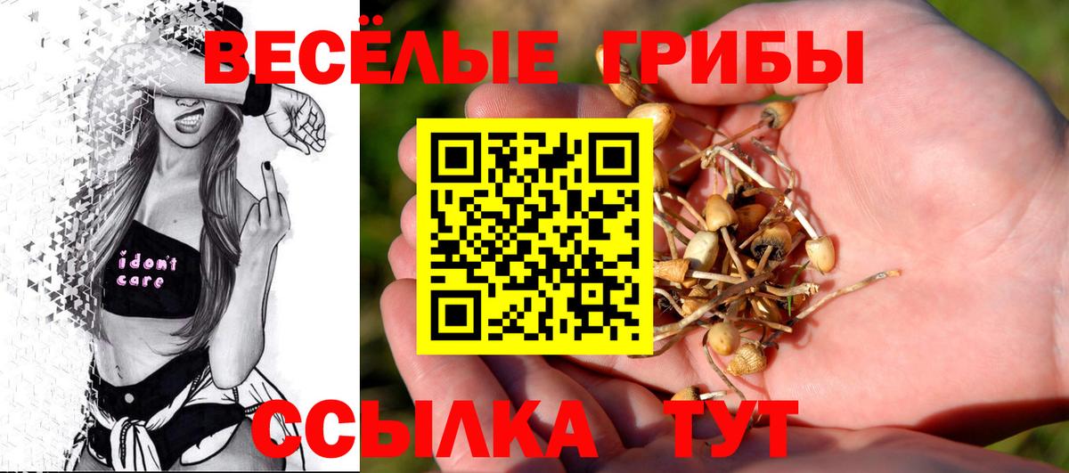 Псилоцибиновые грибы мицелий Псков